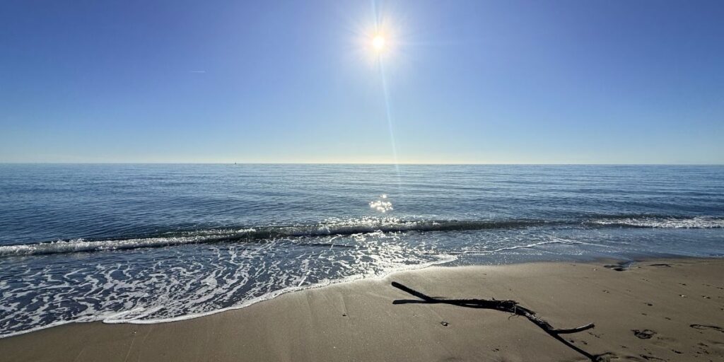 Sunny day in Estepona