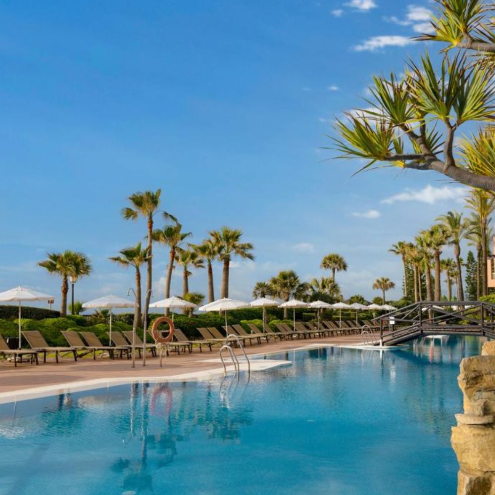 Tropical resort pool with palm trees