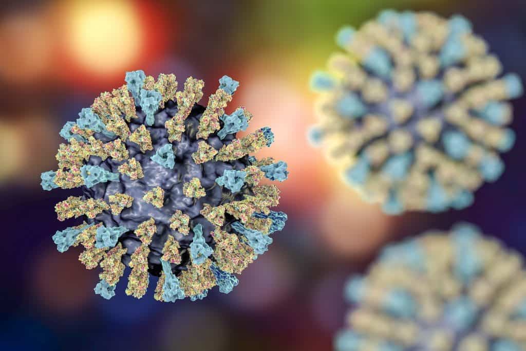 Cas de rougeole à l'Ecole Mamer 1 Measles virus