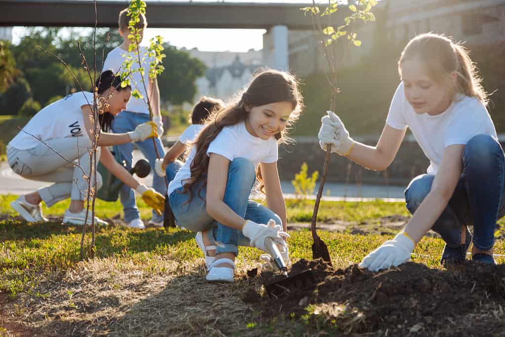 Empowering the Next Generation: Teaching Sustainability and Active Citizenship 1 Teaching Sustainability and Active Citizenship 1