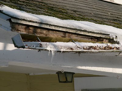 P1010088 | Ever Clean Clog-Free Gutter Systems - Kentucky, Cincinnati, & North Carolina