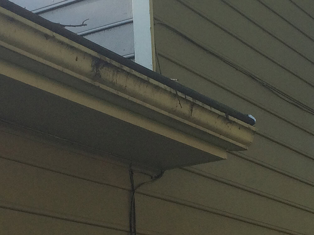 IMG_0241 | Ever Clean Clog-Free Gutter Systems - Kentucky, Cincinnati, & North Carolina