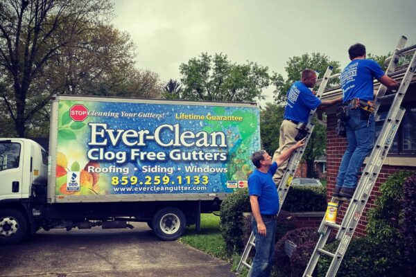 Our Services