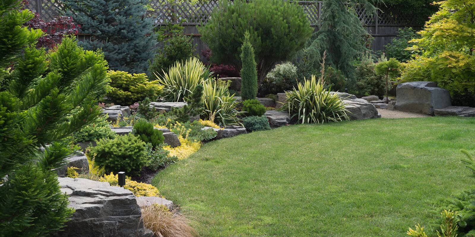 Well-manicured backyard garden with stone borders, evergreen shrubs, and a green lawn