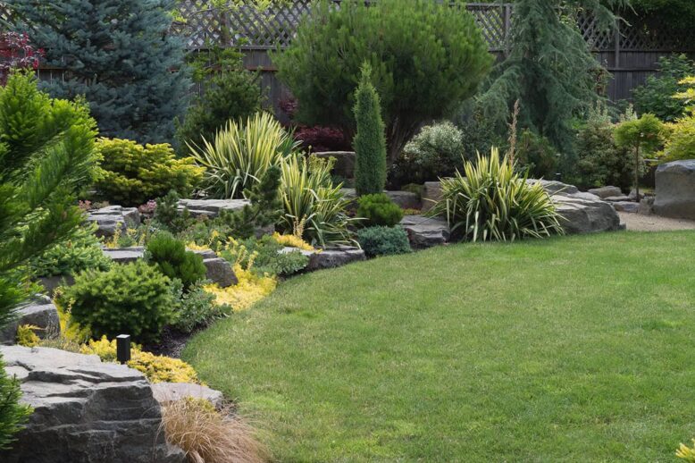 Well-manicured backyard garden with stone borders, evergreen shrubs, and a green lawn