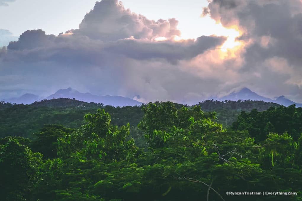 Blue Mountains of Jamaica