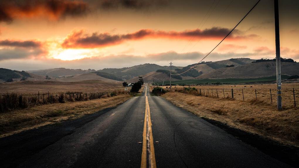 Cats eyes on the road