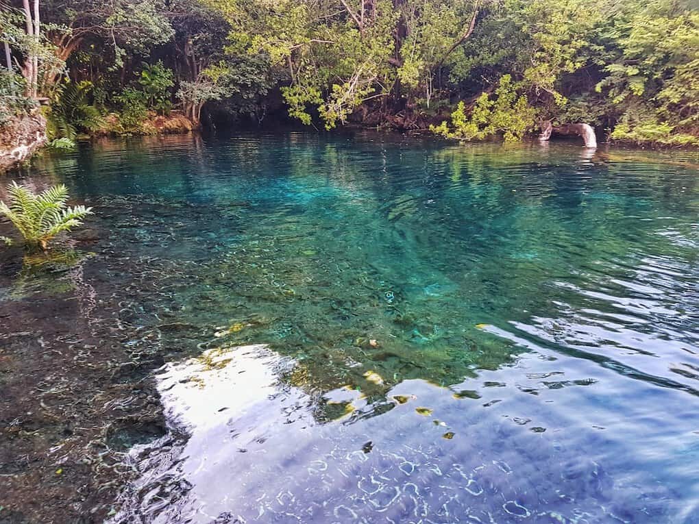 Ojos Indigenas Reserve in Puntacana