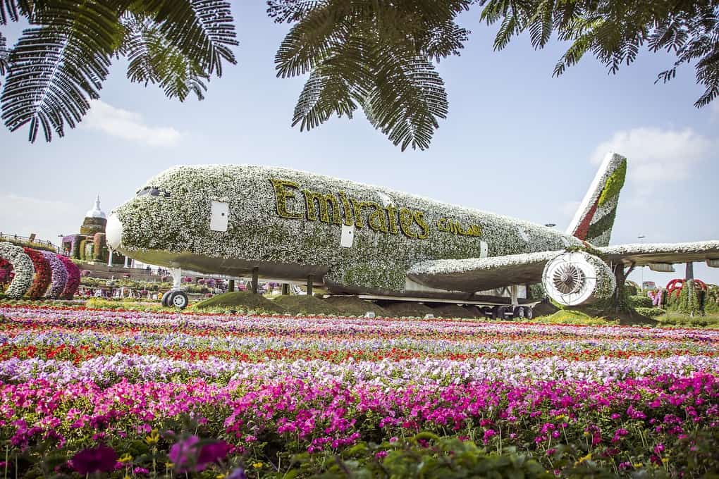 What to do in Dubai: Dubai Miracle Garden