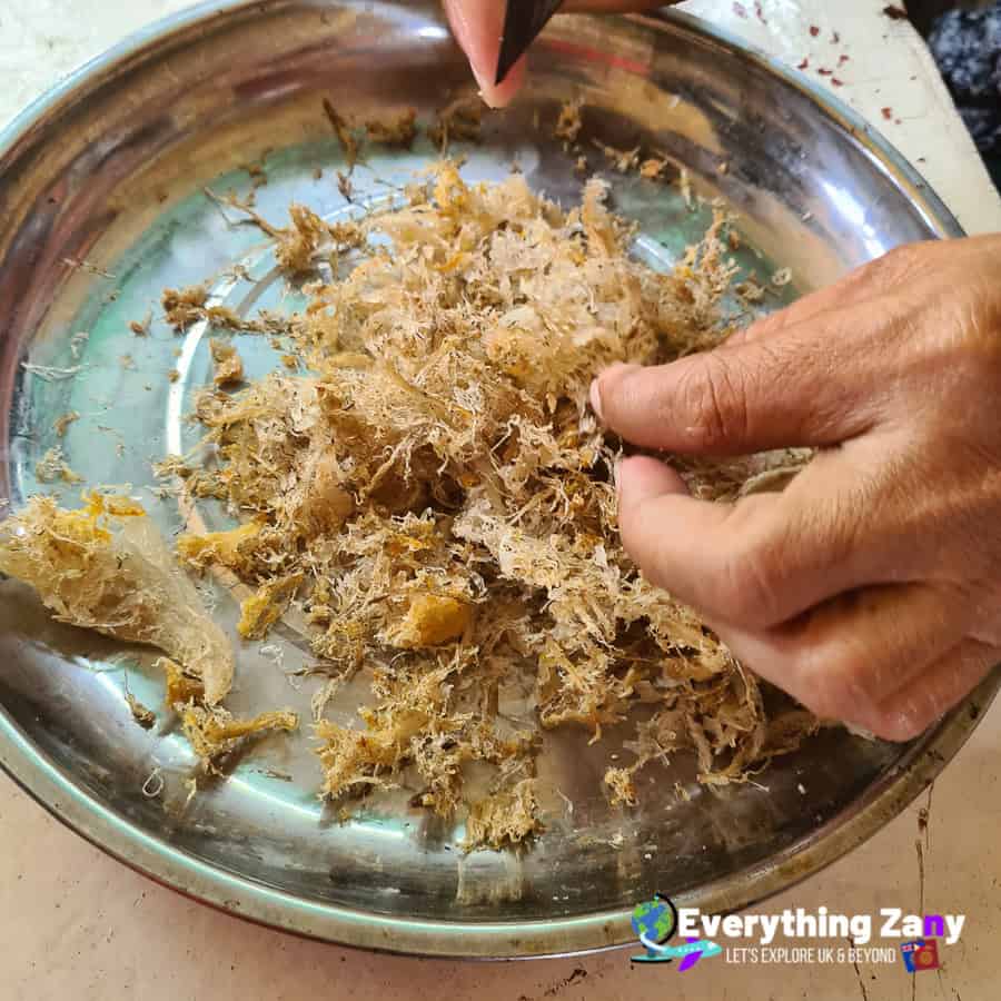 Fibrous texture of genuine Bird's Nest from El Nido Palawan Philippines