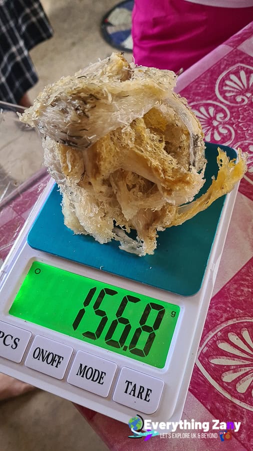 Weighing the Bird's nest in El Nido Palawan