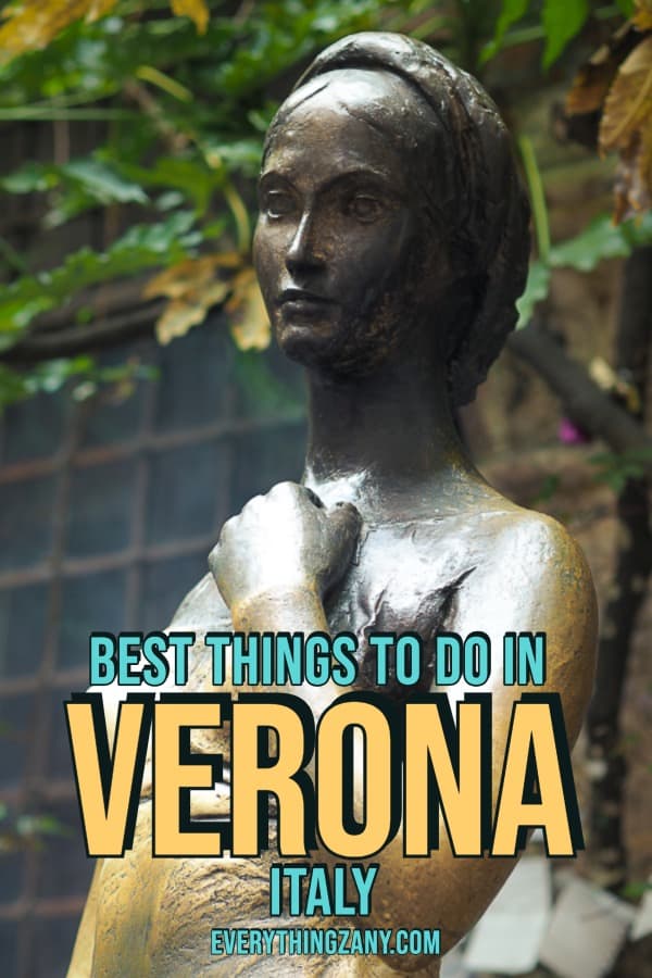 Best Things To Do in Verona Italy pin