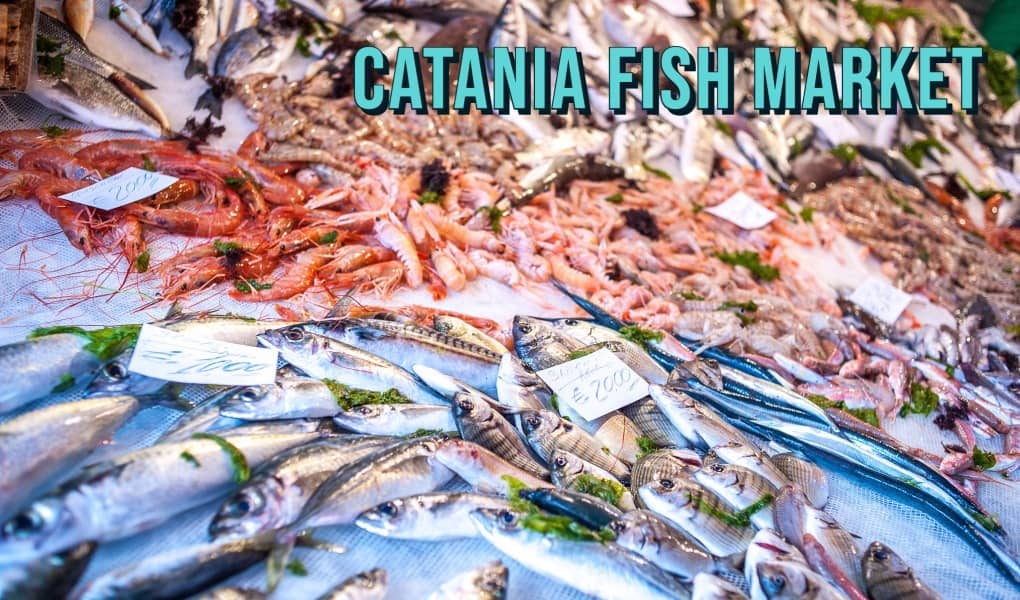 Catania Fish Market in Catania Sicily Italy