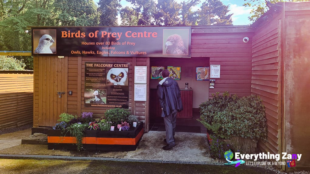 Falconry Centre Hagley Worcestershire