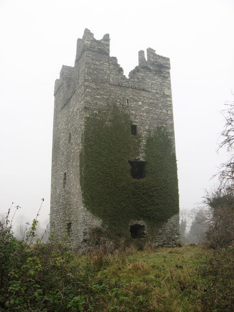Dunmahon Castle in Ireland