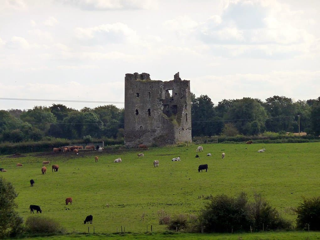 Rattin Castle in Ireland
