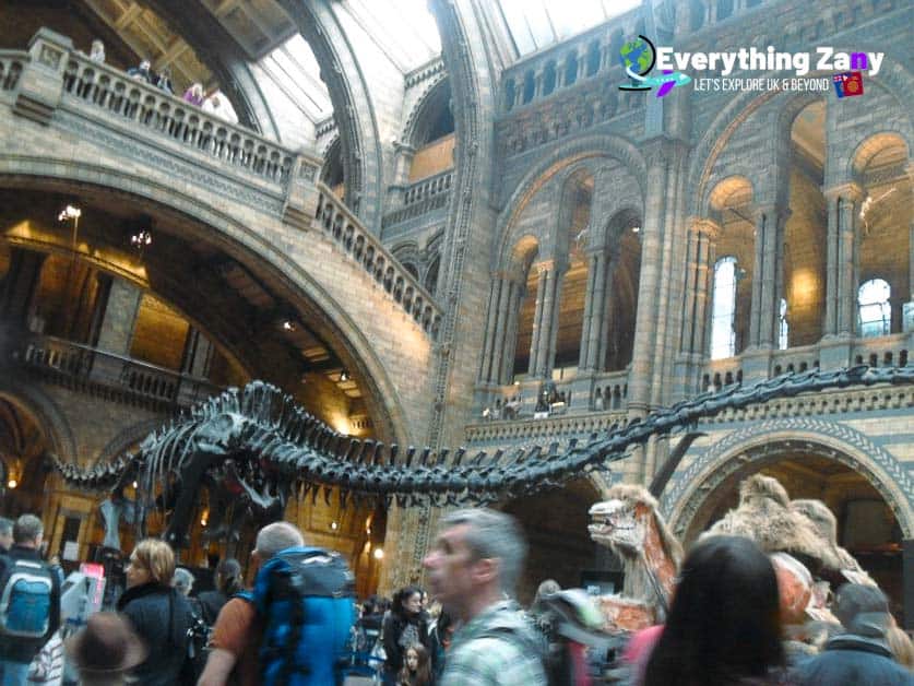 Natural History Museum in London UK