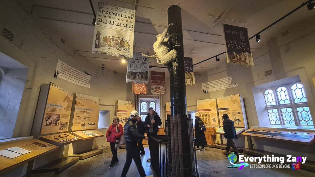 Royal Menagerie exhibit at Tower of London UK