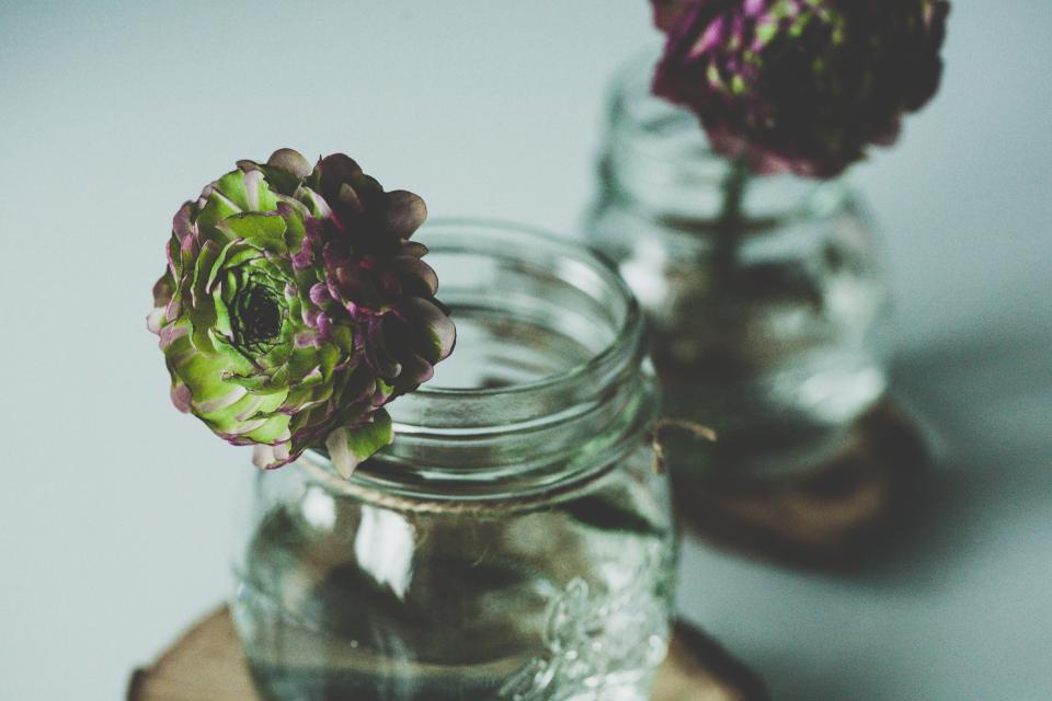 Emily G. Stroud Blog