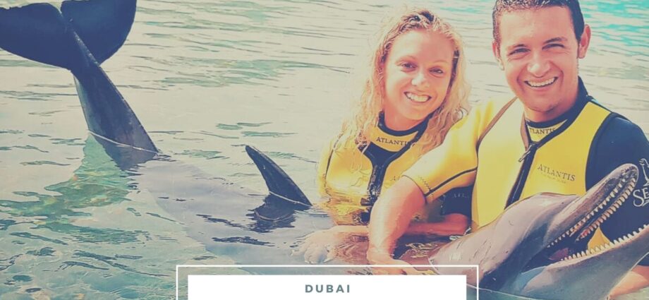 nuotare con i delfini dubai