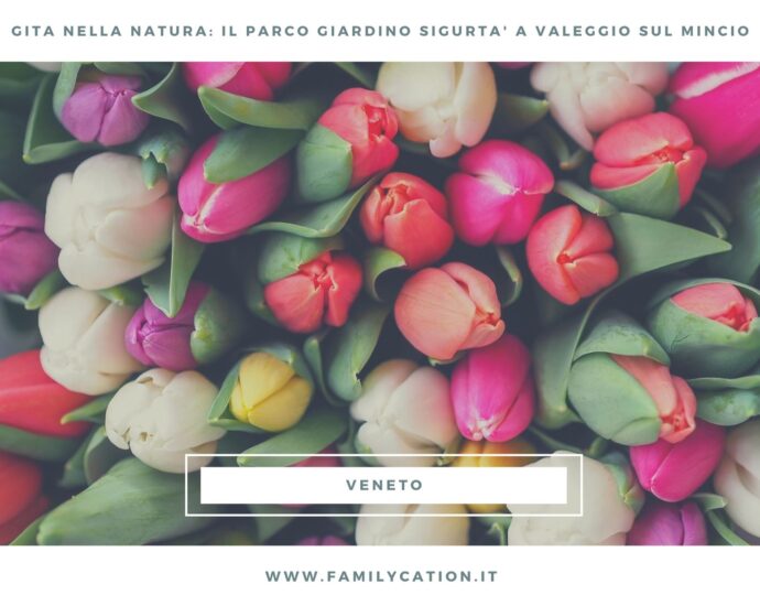 parco giardino sigurtà con bambini