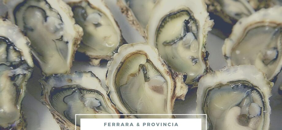 migliori ristoranti pesce crudo ferrara