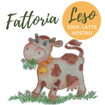fattoria didattica verona verona fattoria leso