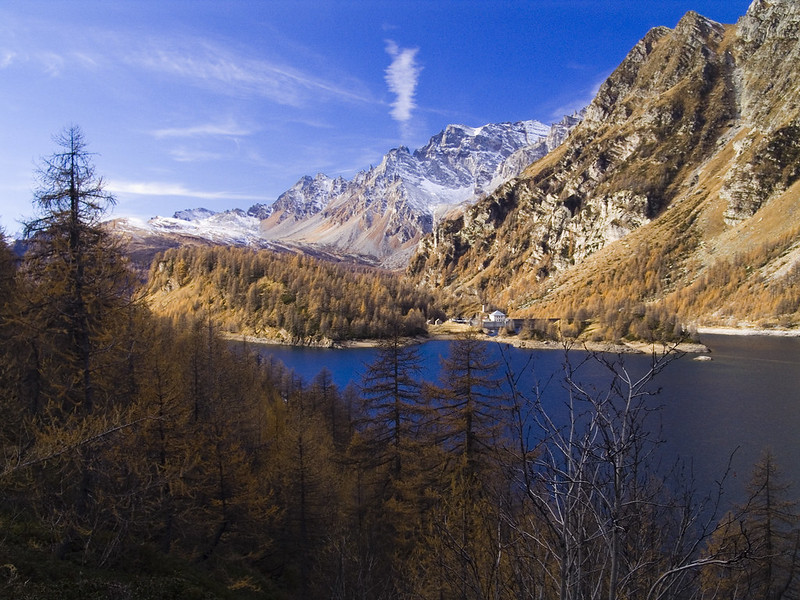 dove vedere il foliage in italia
