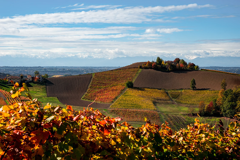 ammirare il foliage in piemonte