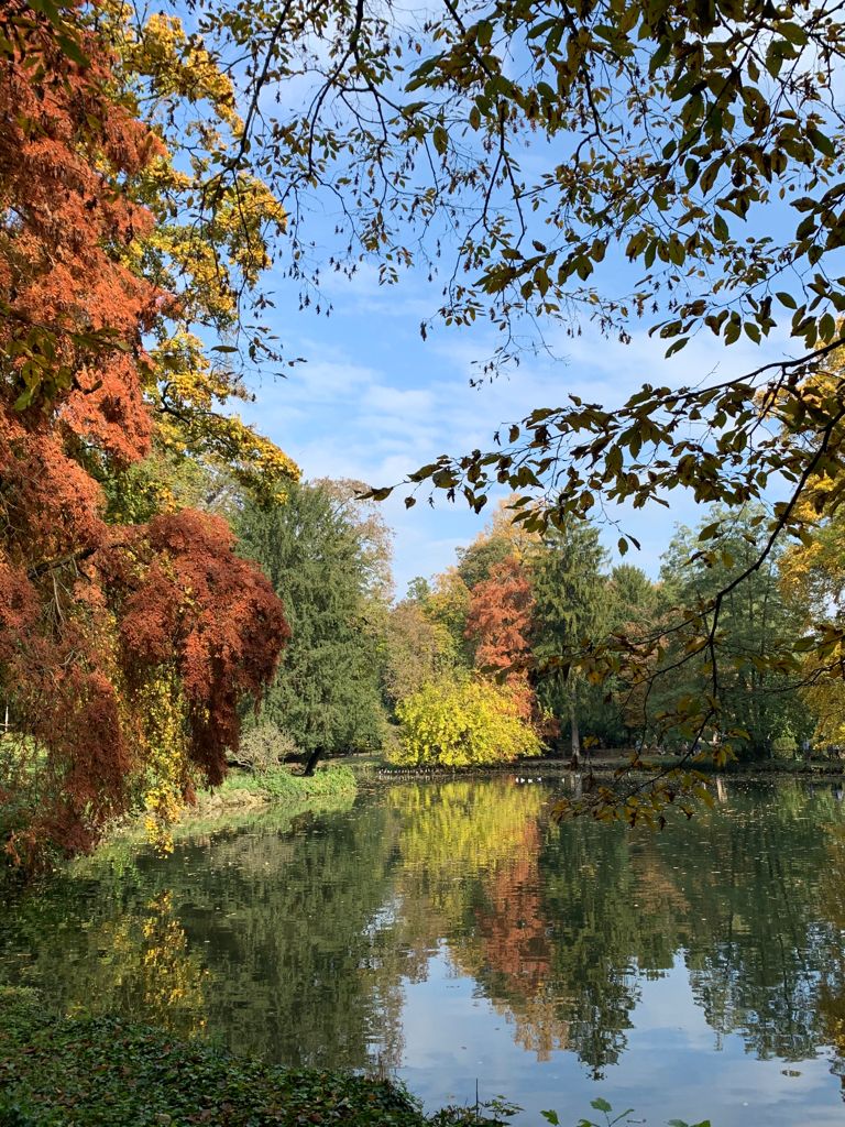 dove vedere il foliage in nord italia