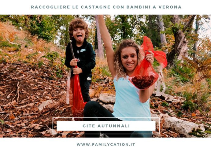 raccogliere le castagne a verona