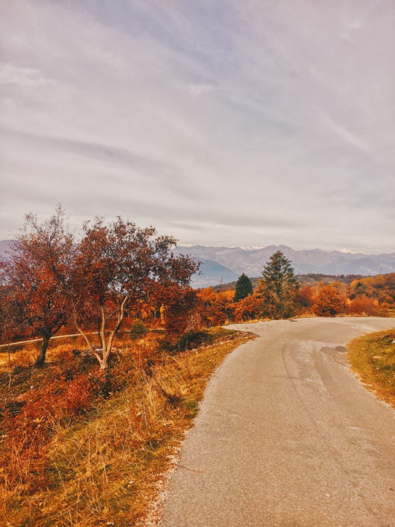 san zeno di montagna raccolta castagne