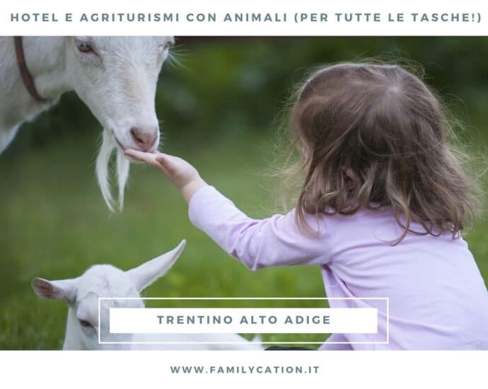 hotel con animali trentino alto adige