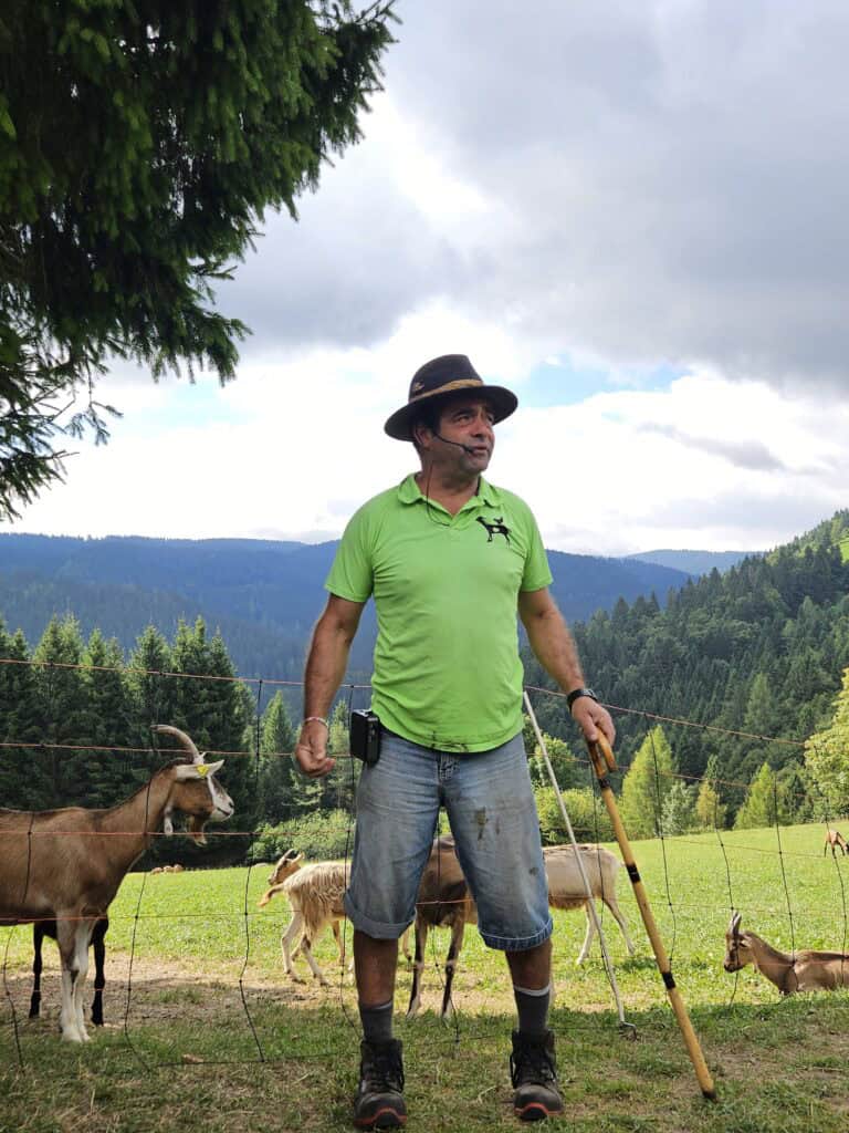 trekking con bambini piccoli folgaria