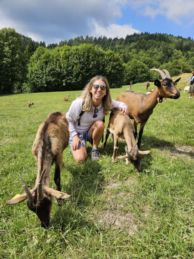 passeggiate con bambini piccoli in trentino