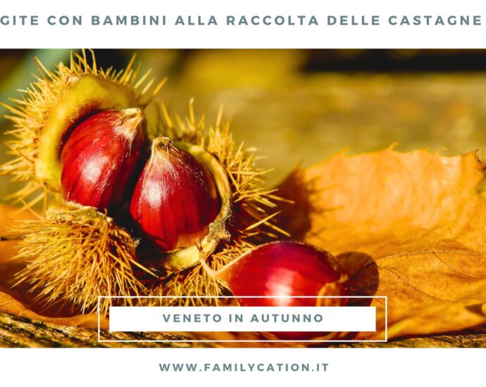 dove raccogliere le castagne in Veneto con bambini