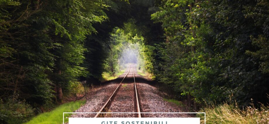 gite per bambini in treno