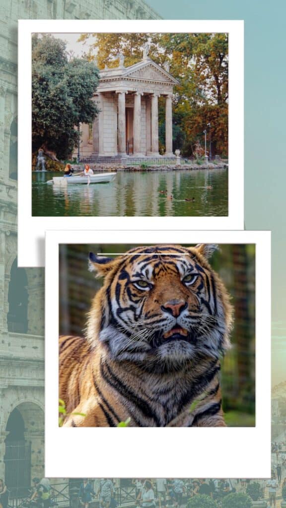 roma in due giorni con bambini weekend a roma con bambini