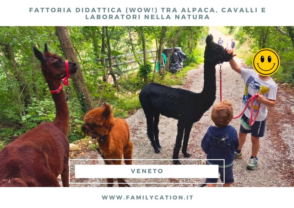 fattoria didattica vicino al Lago di Garda