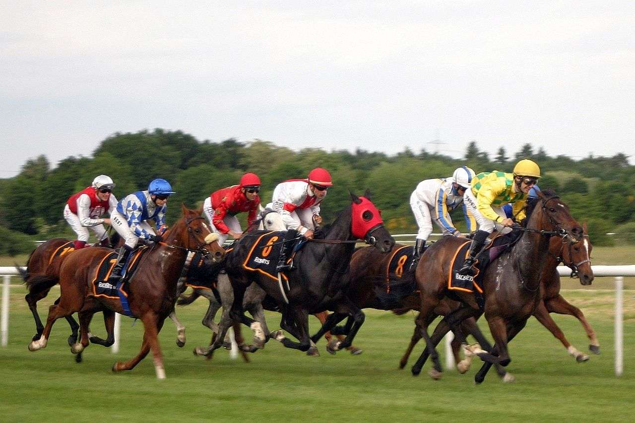 Caballos de carreras en plena acción en la pista.