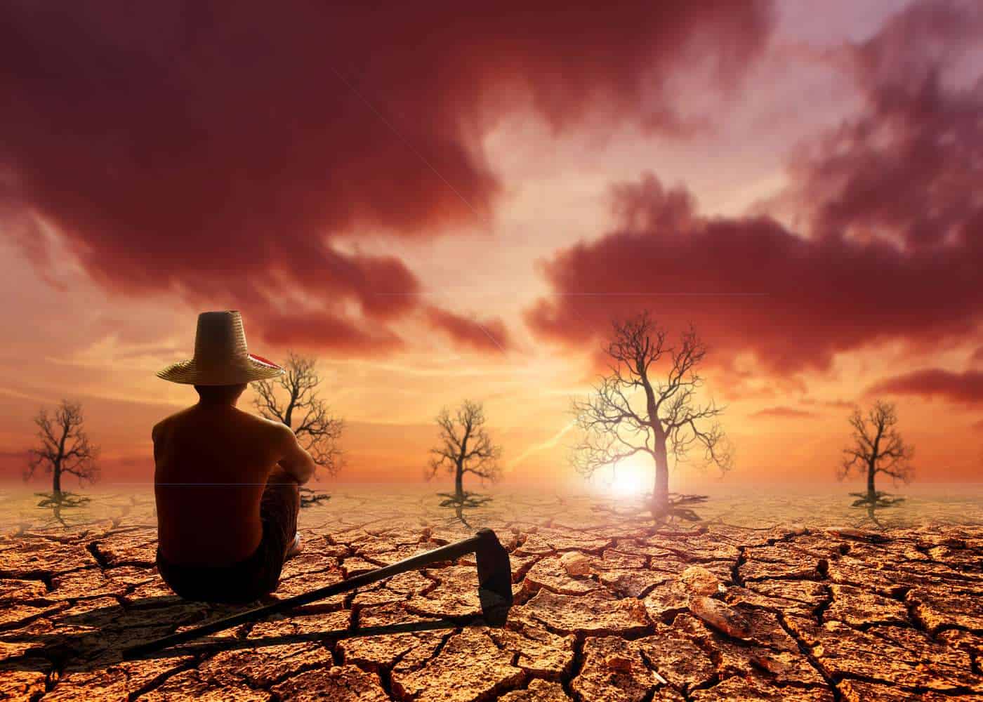 Soñador en un paisaje árido con árboles secos y cielo con nubes rosadas al atardecer, evocando reflexión filosófica sobre la naturaleza y la existencia.