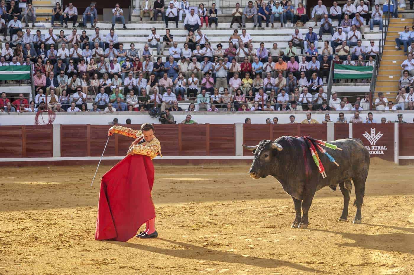 Espectáculo taurino en una plaza con gran afluencia de público. Toreo con capa y toro en el centro del ruedo.