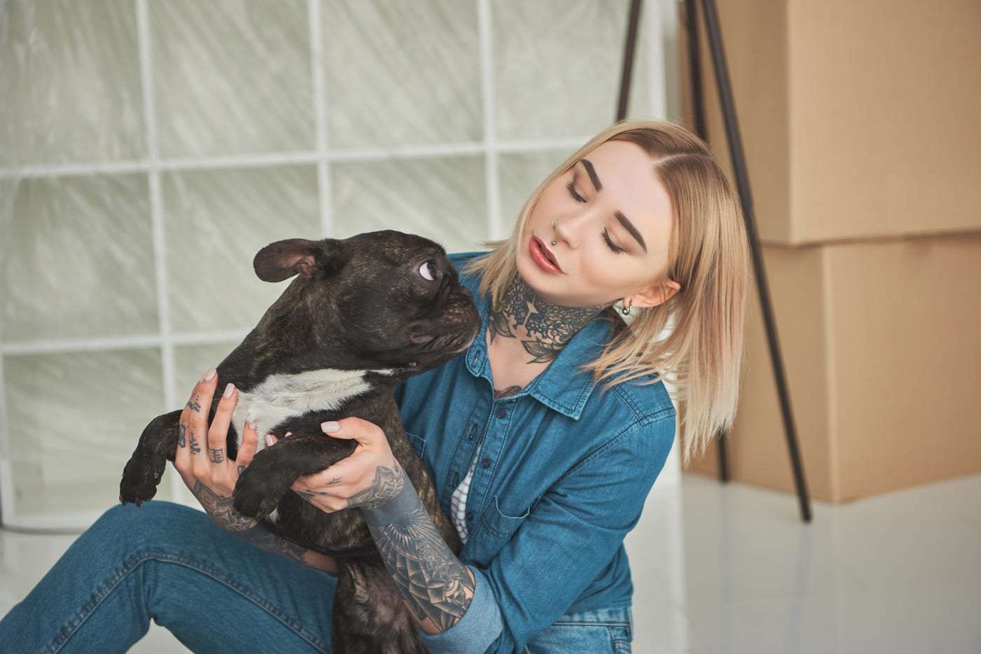 Perra French Bulldog con mujer joven en interiores, mostrando vínculo y ternura.