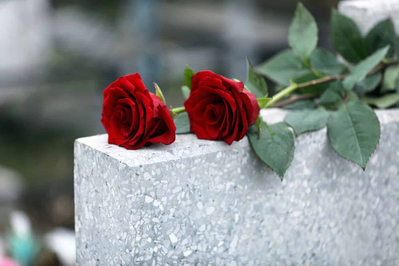 Rosas rojas en un monumento de piedra en un entorno natural.