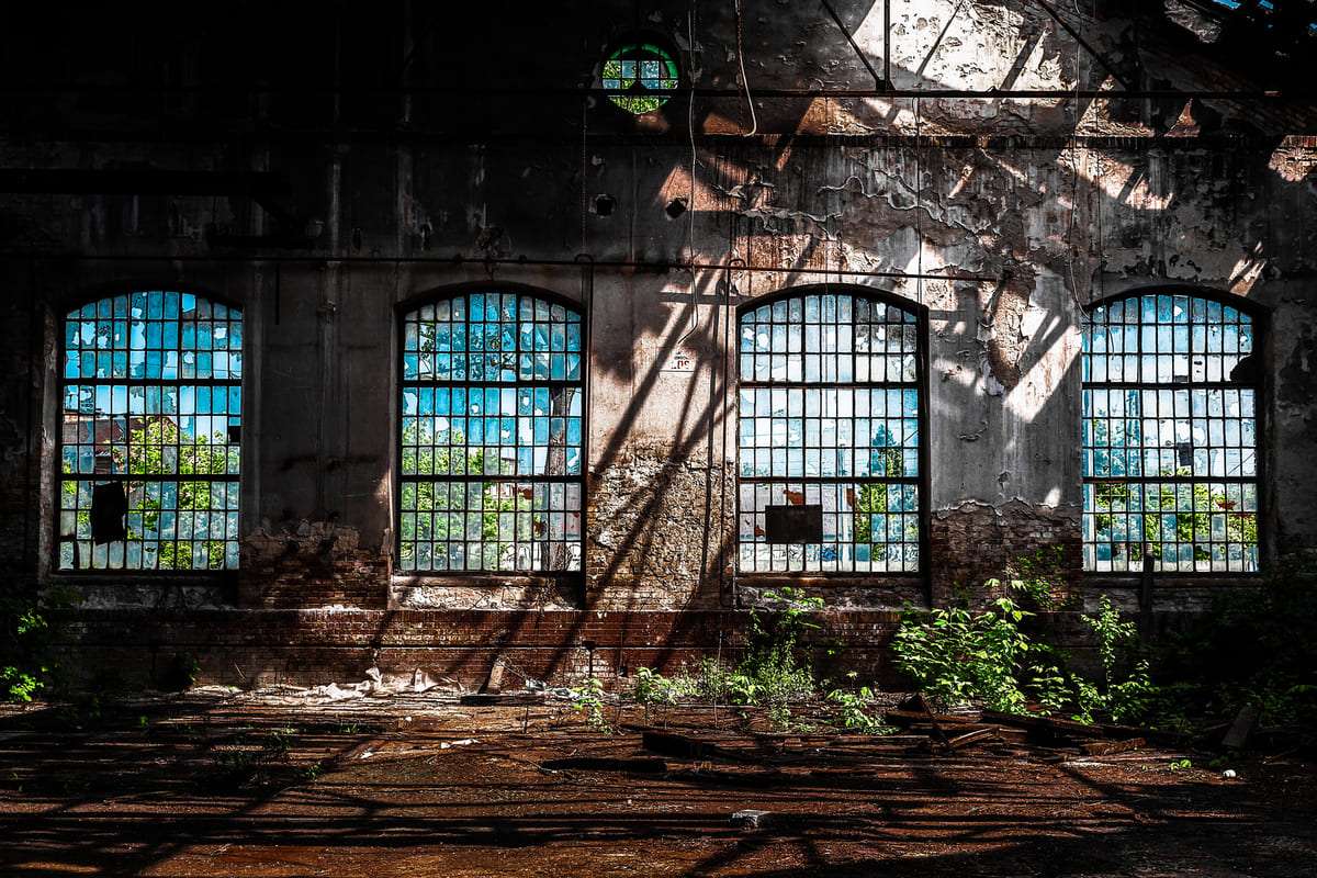 Ventanas rotas en una antigua fábrica en desuso con vegetación creciendo dentro.