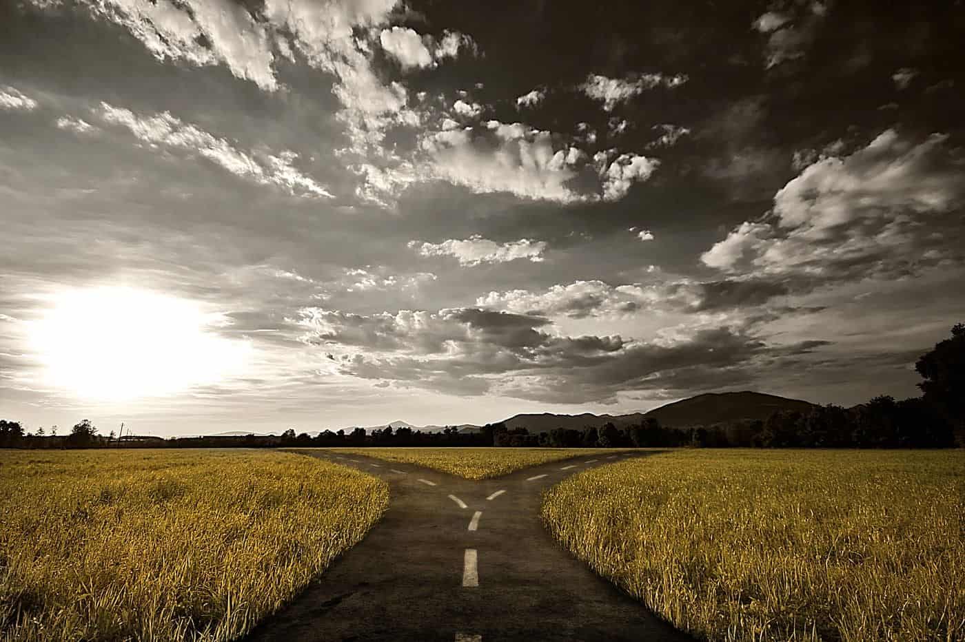 Camino dividido en dos direcciones en un campo de trigo con cielo nublado y paisaje montañoso al fondo.