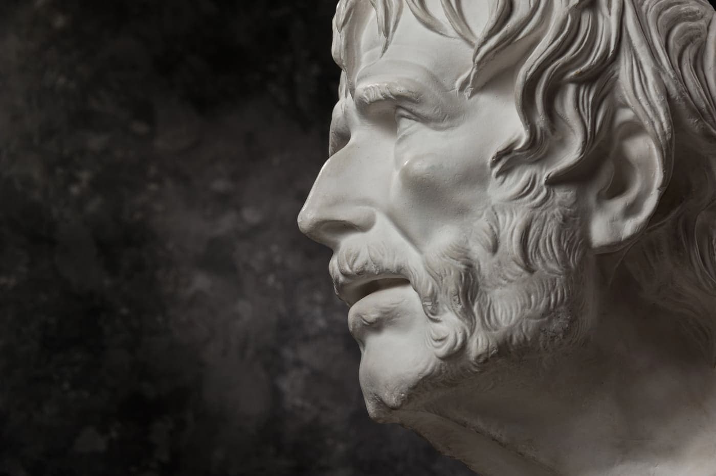 Filósofo clásico en busto de mármol, símbolo de pensamiento y conocimiento.
