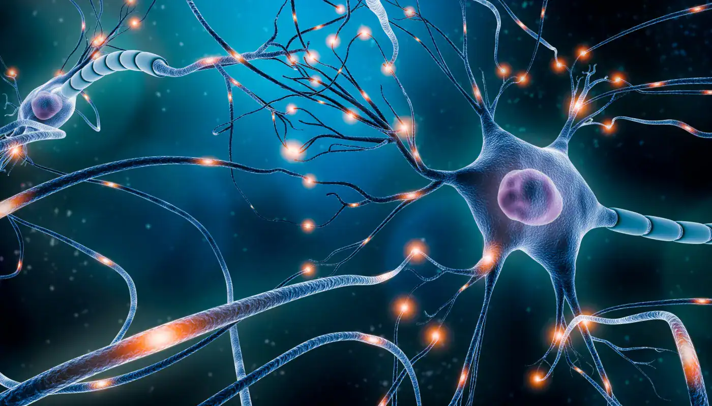 Células neuronales con conexiones eléctricas en un fondo oscuro.