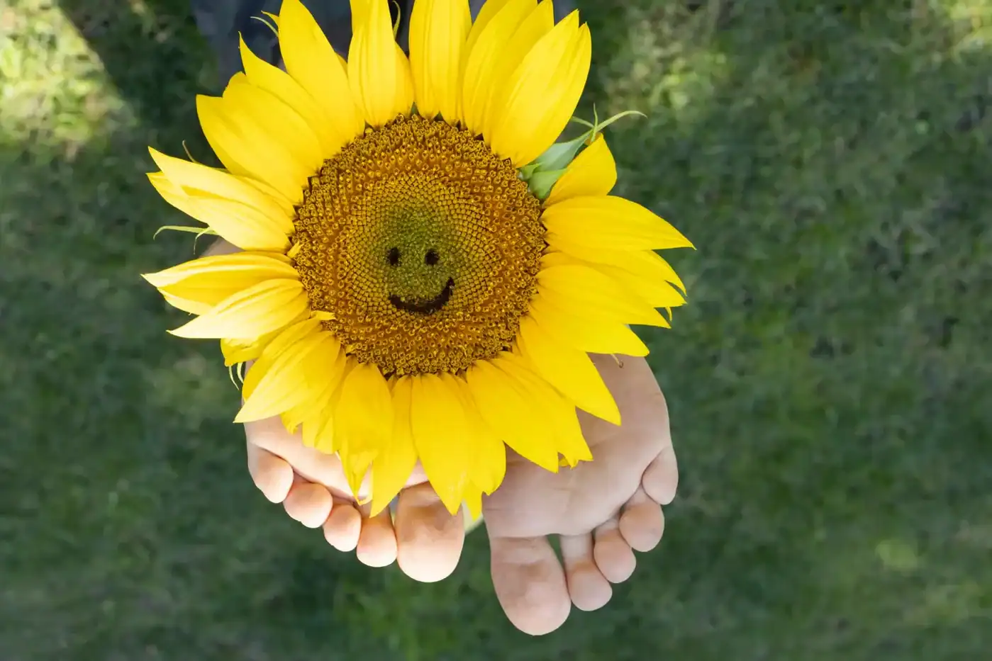 Sonriente girasol en una mano, simbolizando positividad y felicidad.