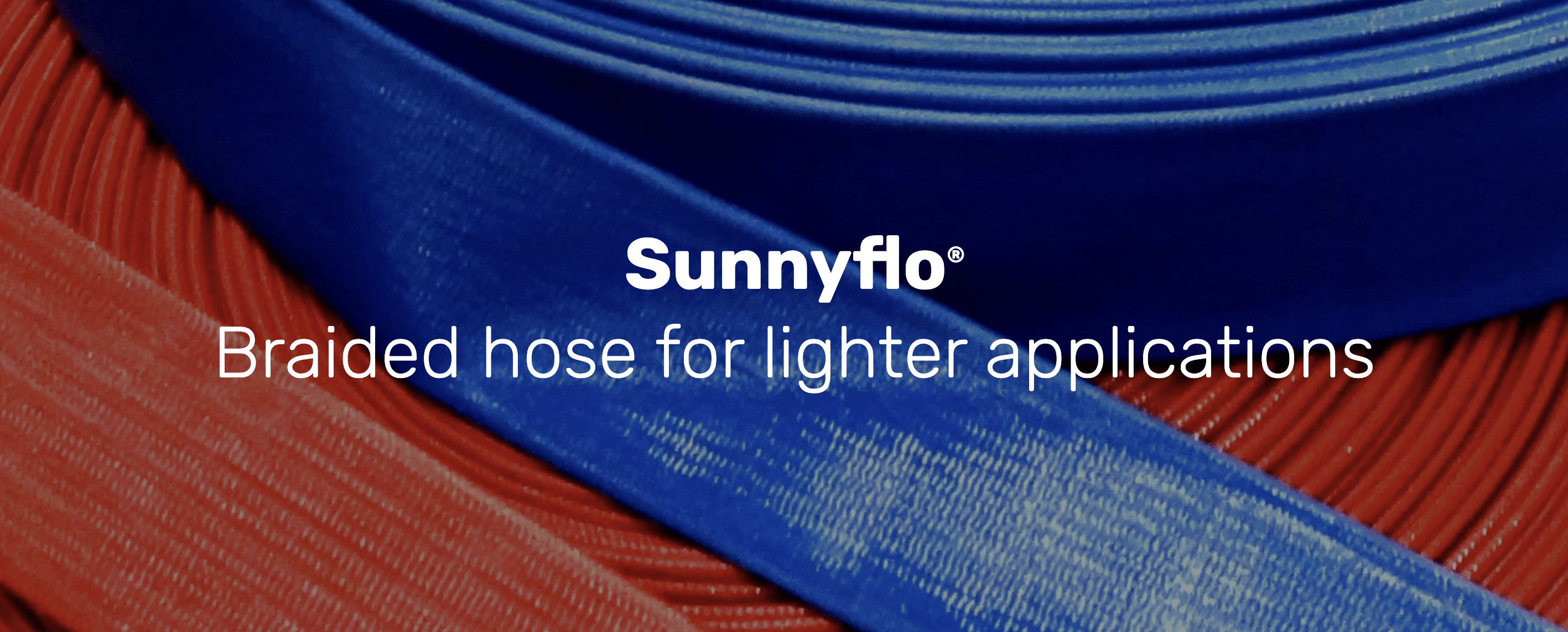 Crusader Sunnyflo